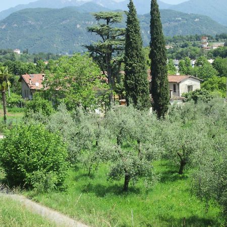 Agriturismo Bonu Gabriele Salò Exteriér fotografie